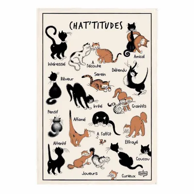 Dish towels - Tea Towel Dubout Chat'tiudes Écru 48 X 72 - MAISON VIVARAISE - SDE VIVARAISE WINKLER