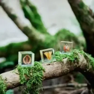 Cadeaux - Sola cube - SOLA CUBE