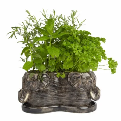 Vases - Trois jardinières - QUAIL DESIGNS EUROPE BV