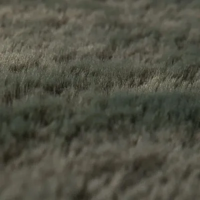 Rugs - Eddy Rug Thym 200 X 290 - MAISON VIVARAISE - SDE VIVARAISE WINKLER