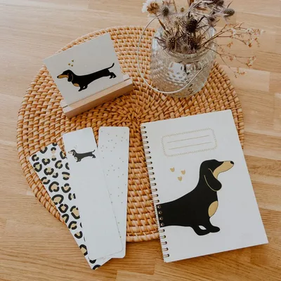 Papeterie bureau - Carnet en papier A5 - Spirales et lignes - Teckel - LES PETITES HIRONDELLES