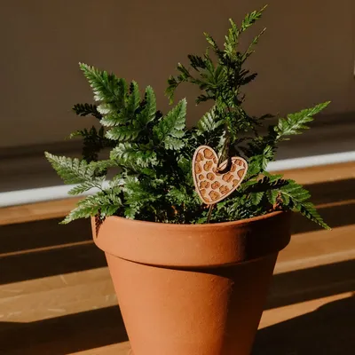 Papeterie bureau - Pic Botanique - Cœur léopard - LES PETITES HIRONDELLES
