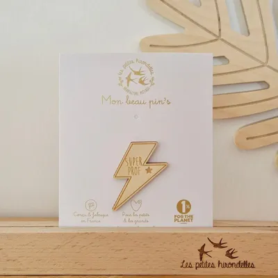 Pin's en bois - Super Prof - LES PETITES HIRONDELLES