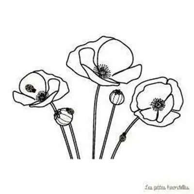 Papeterie bureau - Carte & enveloppe - Coquelicots - LES PETITES HIRONDELLES