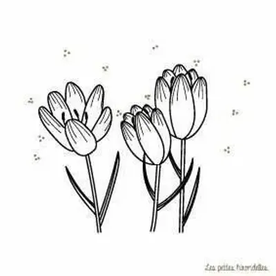 Papeterie bureau - Carte & enveloppe - Crocus - LES PETITES HIRONDELLES