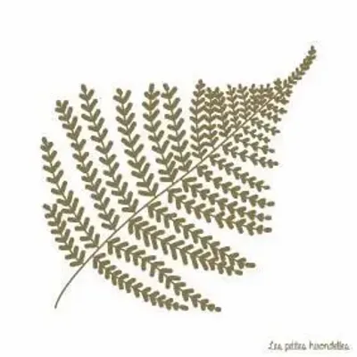 Papeterie bureau - Carte & enveloppe - Fougère - LES PETITES HIRONDELLES