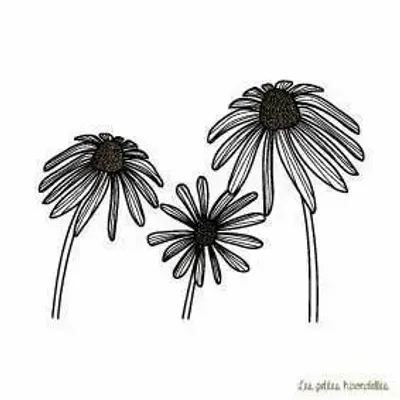 Papeterie bureau - Carte & enveloppe - Marguerites - LES PETITES HIRONDELLES