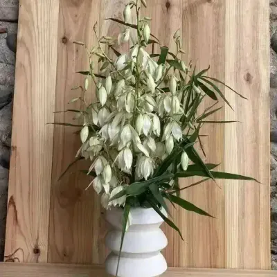 Pièces uniques - Vase sculptural et géométrique en porcelaine blanche - Palindrome C4S - CALLIGRAMME