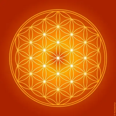 Decorative objects - Flower of Life canvas - orange (7 colours at choice) - MANDALASHOP