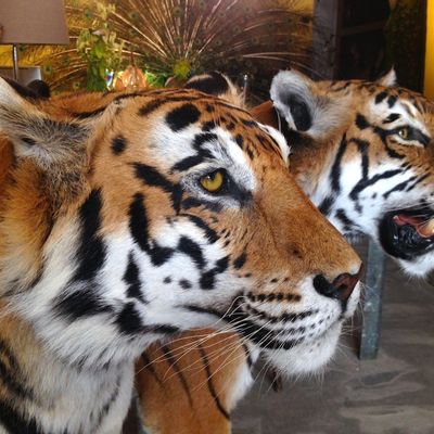 Accessoires de déco extérieure - Sculpture Pièces d'exception - DESIGN & NATURE