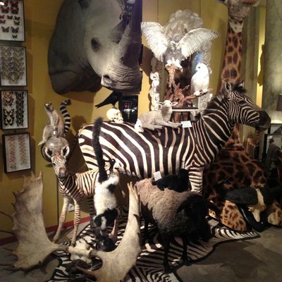 Pièces uniques - Ambiance Boutique. - DESIGN & NATURE