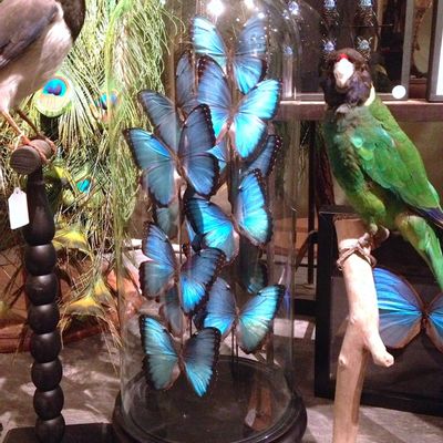 Objets de décoration - Sculpture  Papillons - DESIGN & NATURE