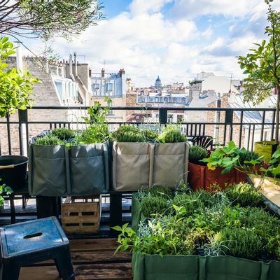 Window boxes - RAISED GARDEN BED - BACSQUARE® - BACSAC®