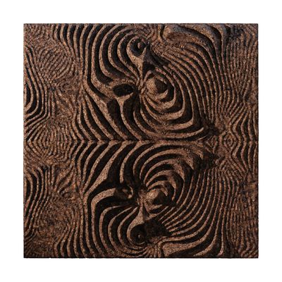 Other wall decoration - wall decoration CORKBIOMORPH - GENCORK / BLACKCORK