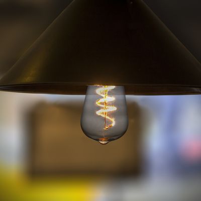 Ampoules pour éclairage intérieur - NOUVEAUX FILAMENTS INCURVÉS LED VINTAGE - SEGULA LED LIGHTING