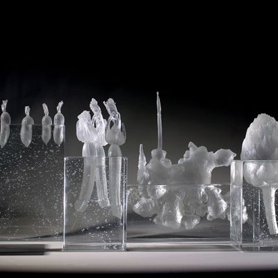 Design objects -  Crystal garden - A. ABADIE + SAUQUES.S