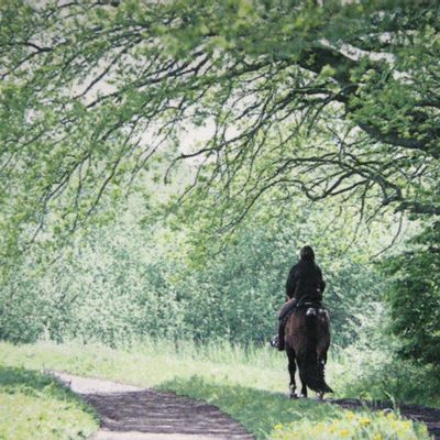Autres tapis - Tapisserie Forêt printanière - NEO TAPIS