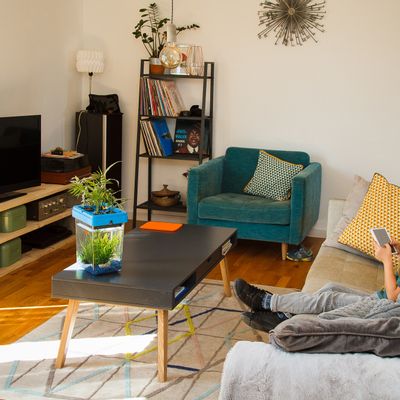 Children's games - OZARIUM  kids - CITIZENFARM