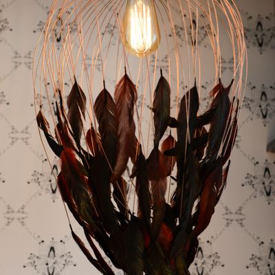 Hanging lights - Phoenix - PLUMAVERA