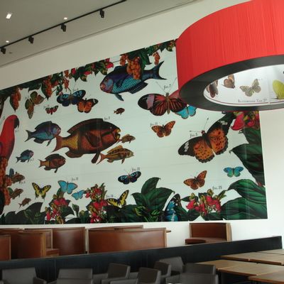 Revêtements muraux - Verre laminado avec impression numérique de haute définition - WIDINGLASS BY BISELARTE