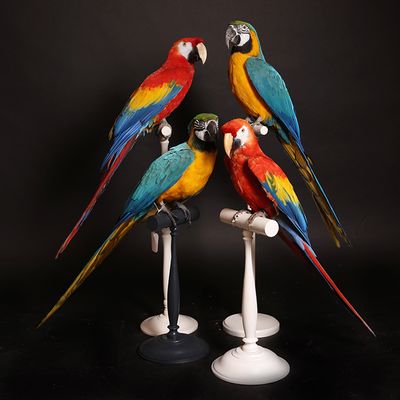Decorative objects - Oiseaux Sculpture. - DESIGN & NATURE
