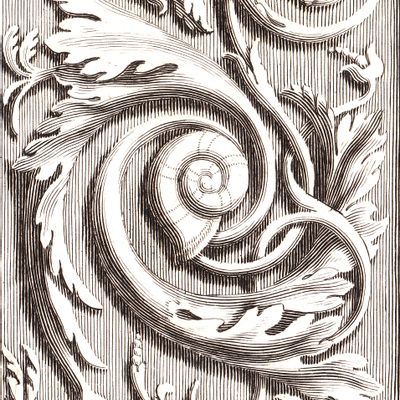 Cushions - Coussin imprimé en microfibre - OLDREGIME