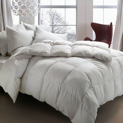 Comforters and pillows - Duvet EXCEL  WINTER **** 220x240 100%W.G.D. F.P.850 - CINELLI PIUME E PIUMINI SRL