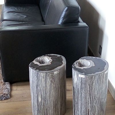 Assises pour bureau - Petrified wood stool - WILD-HERITAGE.COM