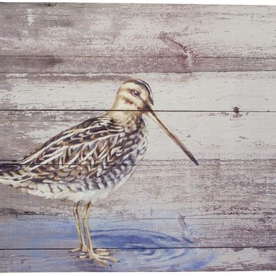 Objets de décoration - Oiseau, marmotte, loup, lapin, écureuil - TRADE WINDS