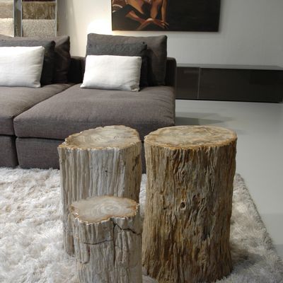 Unique pieces - Petrified wood side tables - XYLEIA NATURAL INTERIORS