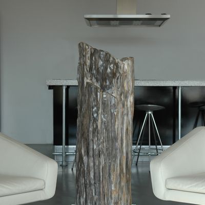 Sculptures, statuettes and miniatures - PETRIFIED WOOD | Sculptures made of petrified wood - XYLEIA NATURAL INTERIORS