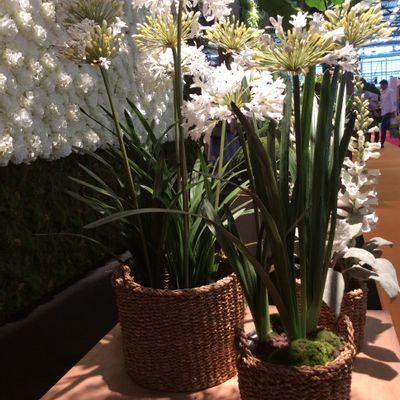 Floral decoration - Artificial Flowers & Plantes/ Fruits & Vegetables/ Decoration for Hôtels - VRANCKX - NATURE INSPIRED