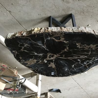 Unique pieces - Coffee table in petrified wood - LE COMPTOIR DU MEUBLE