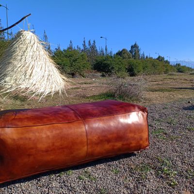 Objets de décoration - Pouf en cuir - ARTINOO