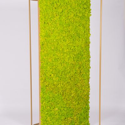 Objets de décoration - Panneaux séparateur G-Divider-Lichen - GREEN MOOD