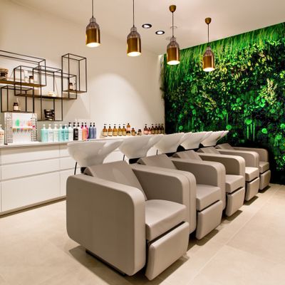 Office furniture and storage - Preserved Green Wall - Forest - GREEN MOOD