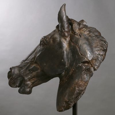 Sculptures, statuettes et miniatures - Tête de Cheval de Sélène - ATELIERS DAVOY
