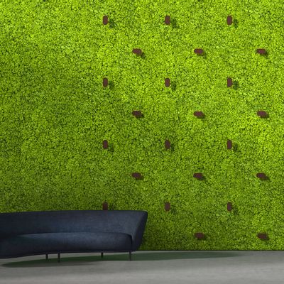 Objets de décoration - Mur vert scintillant  - GREEN MOOD