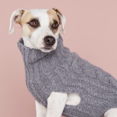 Pet accessories - John B. coat - THE PAINTER'S WIFE