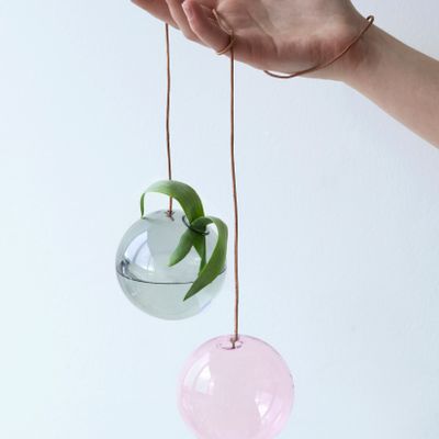 Vases - Flower and plant bubbles, hanging - STUDIO ABOUT