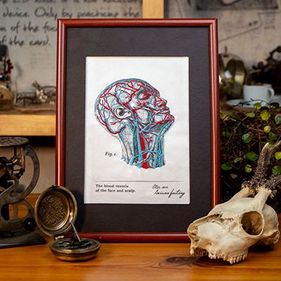 Children's arts and crafts - AFTER SCHOOL – DIY BLOOD VESSEL EMBROIDERY KITS - SCIENCE INTERNATIONAL CO., LTD