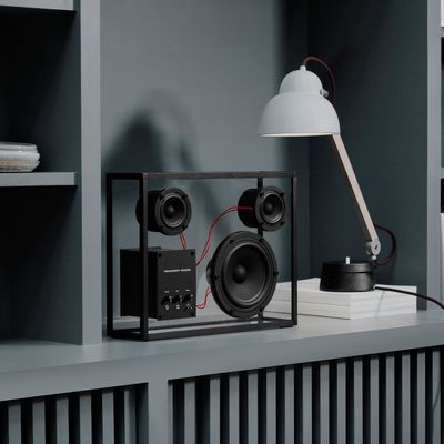 Maniques - Transparent Speaker - TRANSPARENT