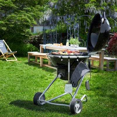 Barbecues - Charcoal and Gas grills - ROESLE GMBH & CO. KG