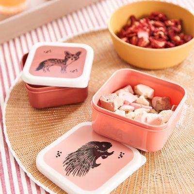 Children's mealtime - Lunch for kids - PETIT MONKEY