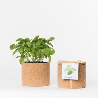 Autres objets connectés  - Grow Cork - LIFE IN A BAG