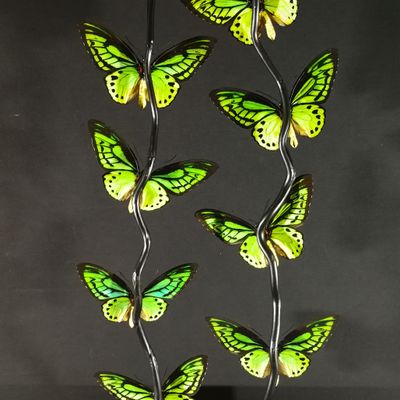 Objets de décoration - Cage Papillons Priamus, cabinet de curiosités - METAMORPHOSES