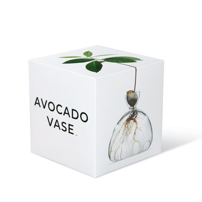 Vases - Avocado Vase - ILEX STUDIO