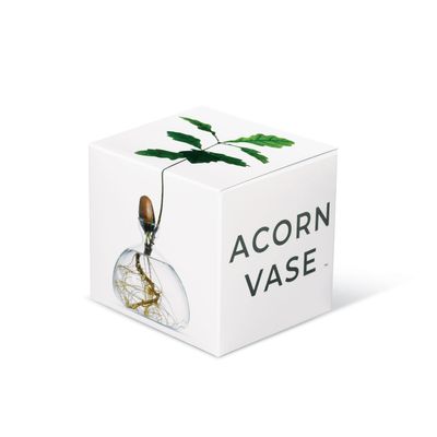 Vases - Acorn Vase - ILEX STUDIO
