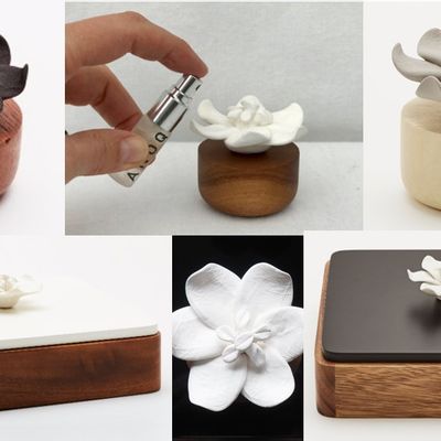 Objets de décoration - Boxes and diffusers ANOQ Paris Collection - ANOQ