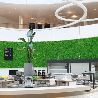 Floral decoration - Custom made lichen walls - GREEN MOOD